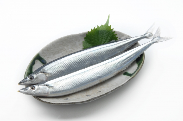 魚類